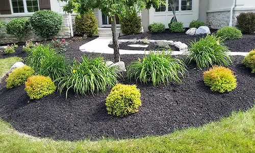 Shrubs And Mulching what is mulching